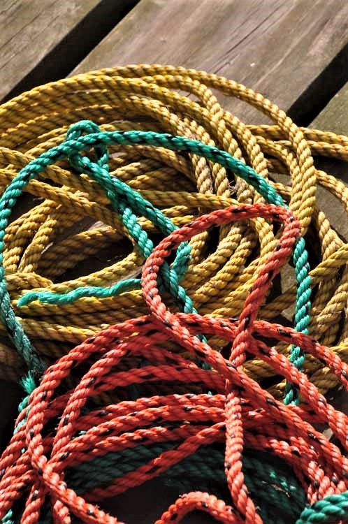 coiled rope in colors